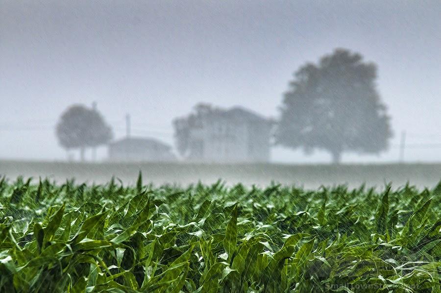 Farming: God's System of Multiplication and Blessing